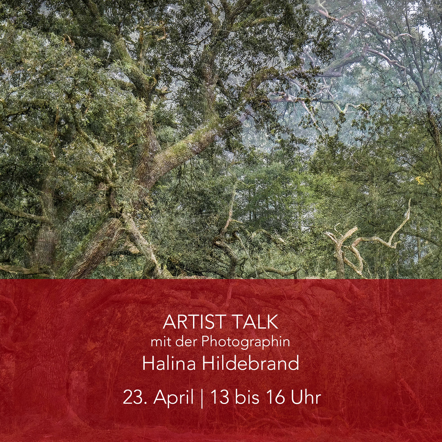 ArtistTalk_HalinaHildebrand